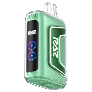 Miami Mint Raz Vape - TN9000