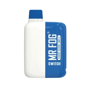 MR FOG SWITCH 5500 PUFFS BLUEBERRY RASPBERRY LEMON ICE