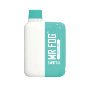 MR FOG SWITCH 5500 PUFFS BLUEBERRY KIWI