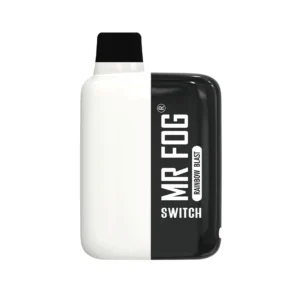 Rainbow Blast Mr Fog Switch 5500 Puffs Disposable Vape